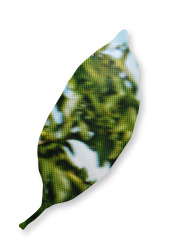 Dieter Knobloch : blatt, Serie "screenshots"