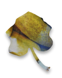 Dieter Knobloch : gurken, Serie "screenshots"