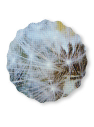 Dieter Knobloch : pusteblume, Serie "screenshots"