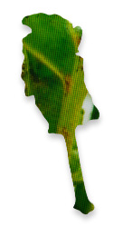 Dieter Knobloch : rübe, Serie "screenshots"