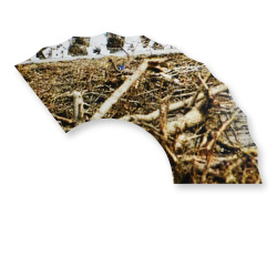 Dieter Knobloch : shima, Serie "screenshots"