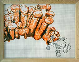 Dieter Knobloch : armilliaria ostoyae | mars rover