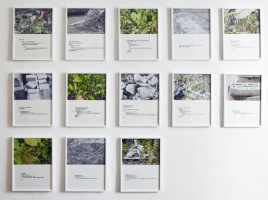 Dieter Knobloch : alle, Serie "nochmal und nochmal und"